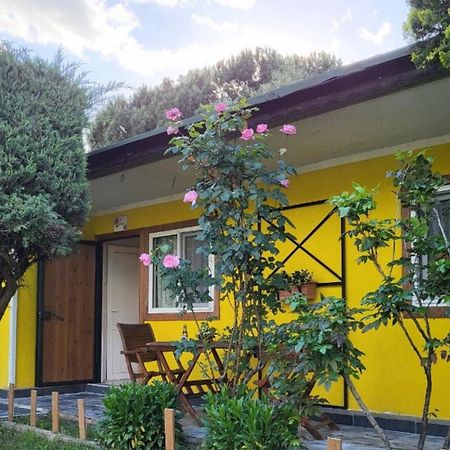 Отель Cicek Evler Tatil Koeyue Армутлу Экстерьер фото